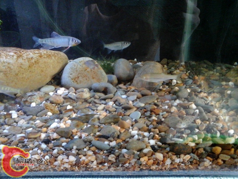 20140728_133446.jpg