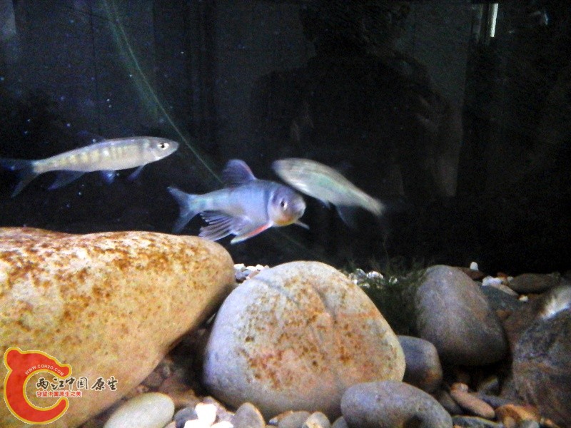 20140728_133525.jpg