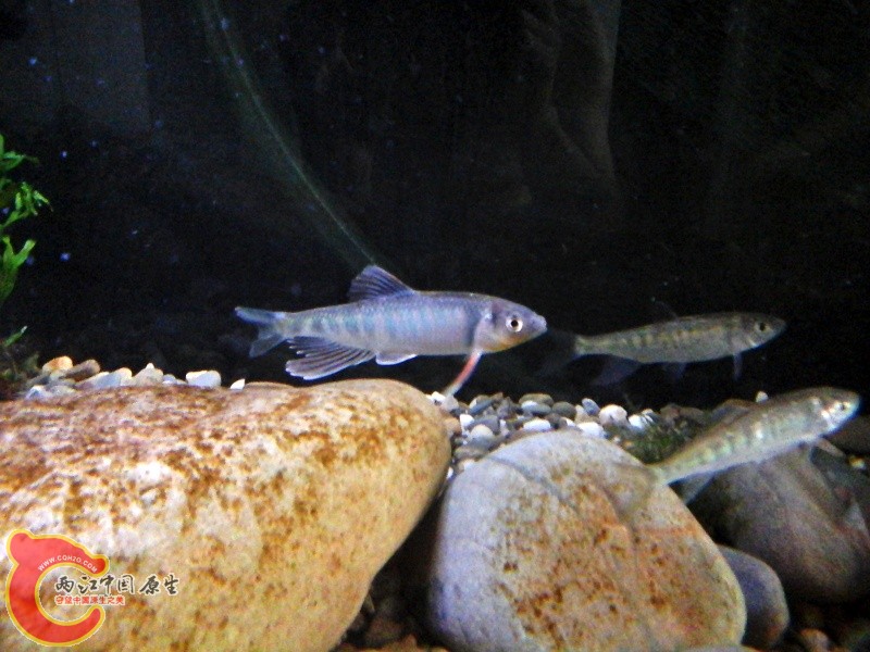 20140728_133540.jpg