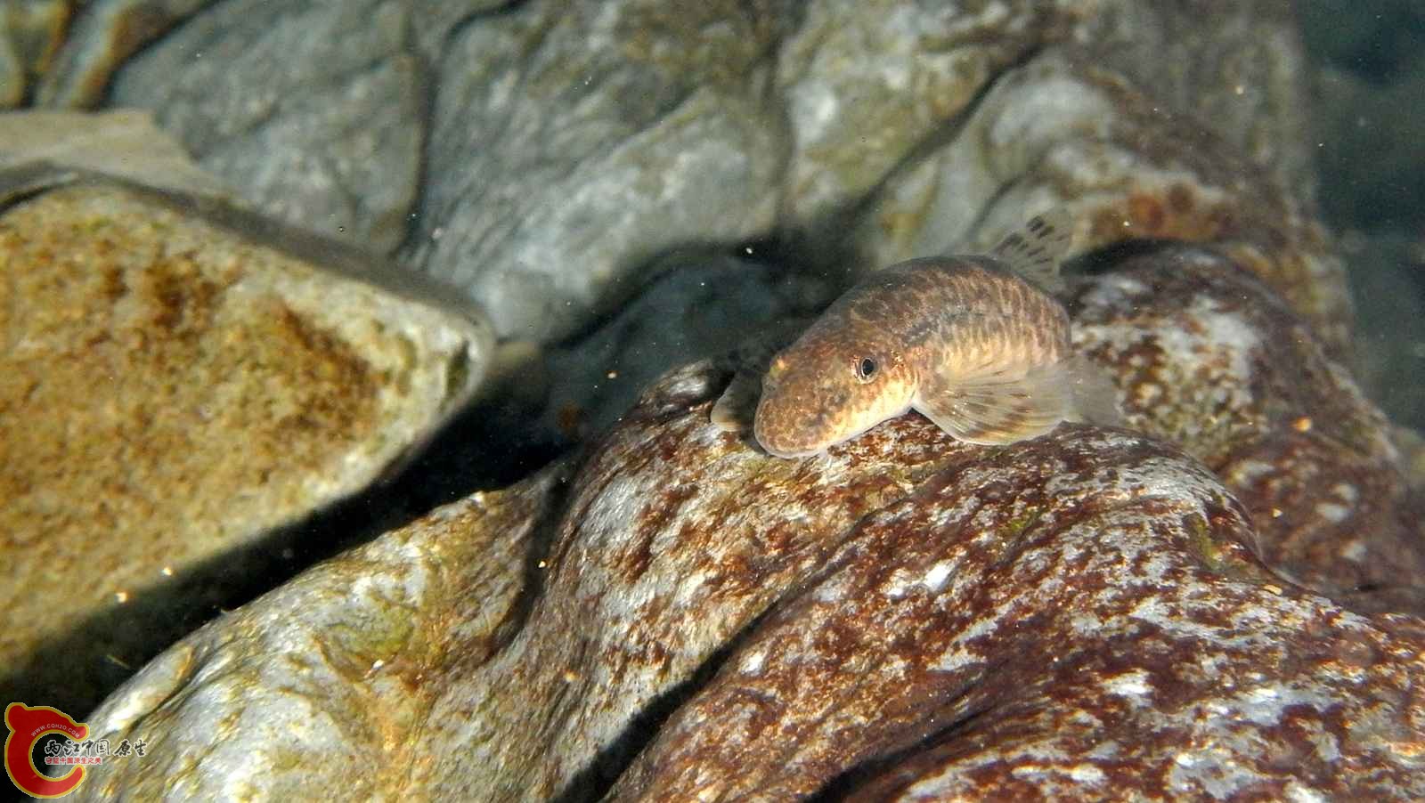 DSCN1882.jpg