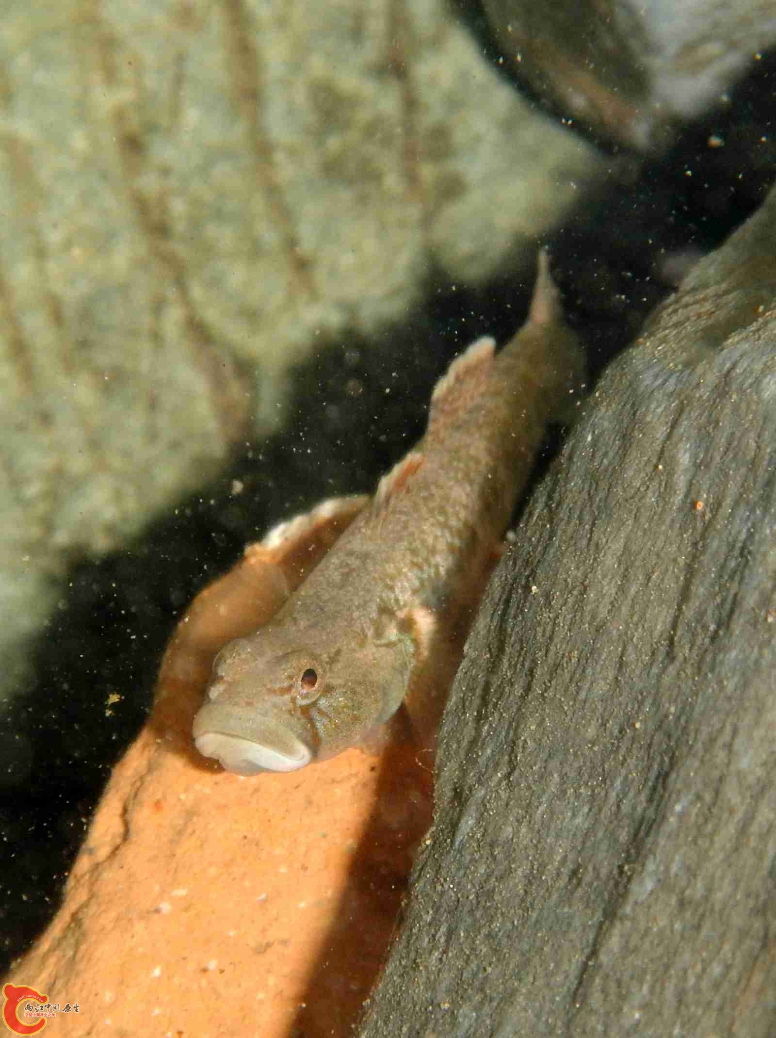 DSCN1896.jpg