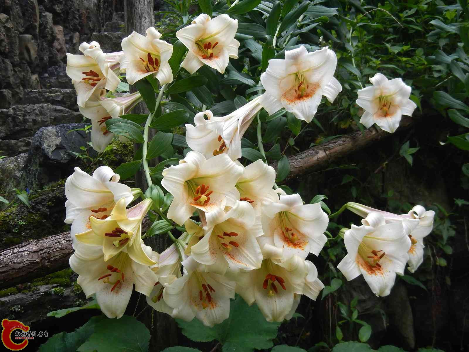 DSCN2297.jpg