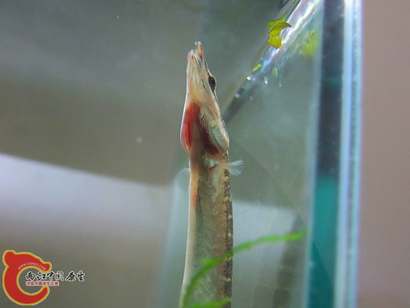 DSCF2040.JPG
