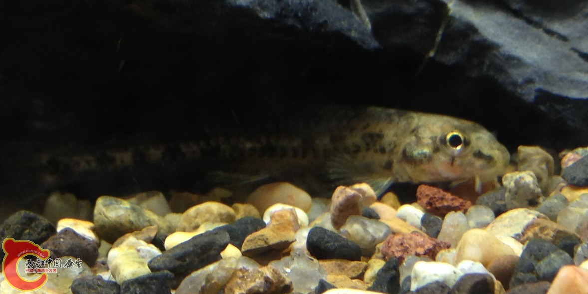 2014-07-28 220053.jpg