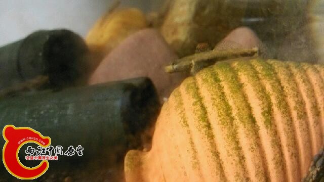 IMG_20140729_205058.jpg