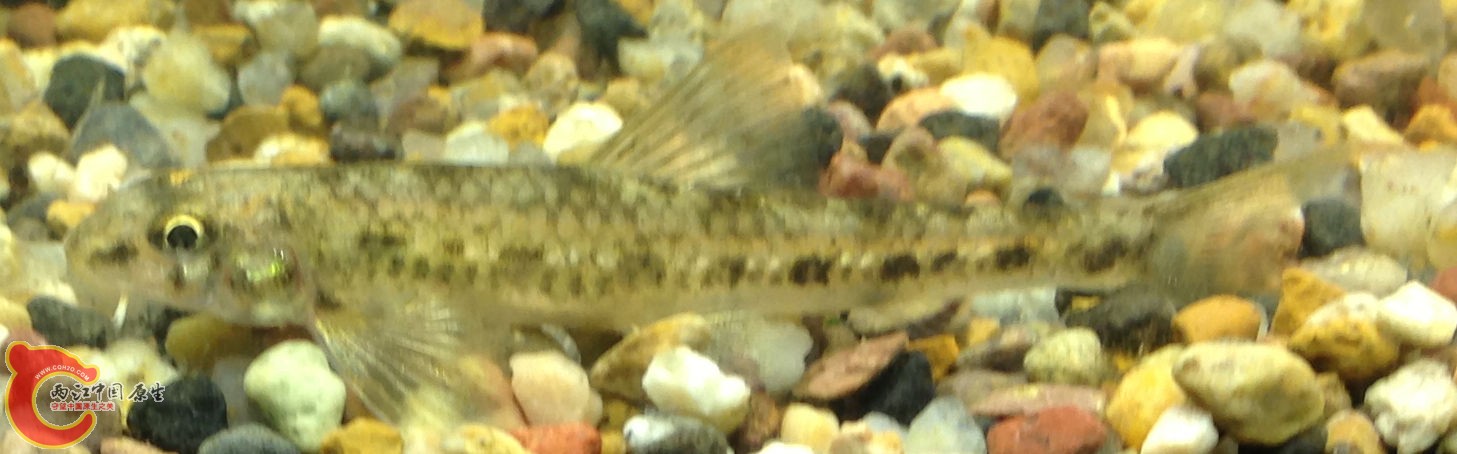 2014-07-29 214025.jpg