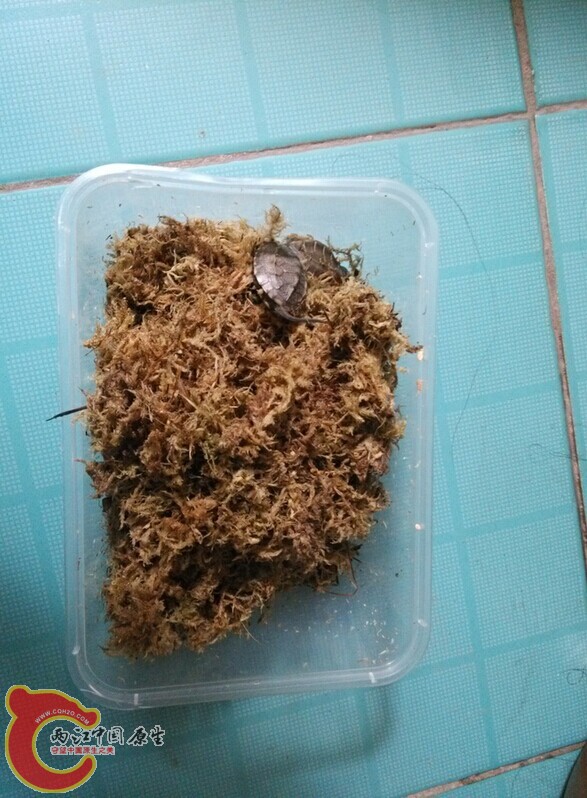 专业包装是平安到达的保证
