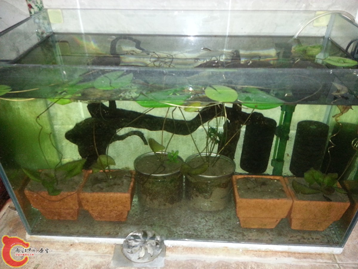 20140801_185213.jpg