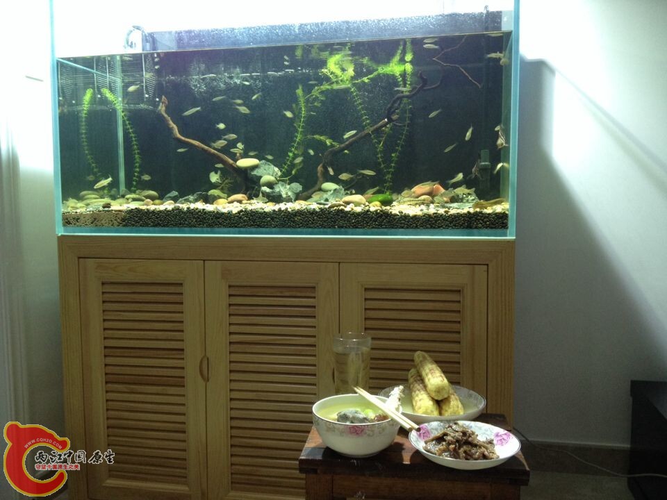 QQ图片20140804103715.jpg