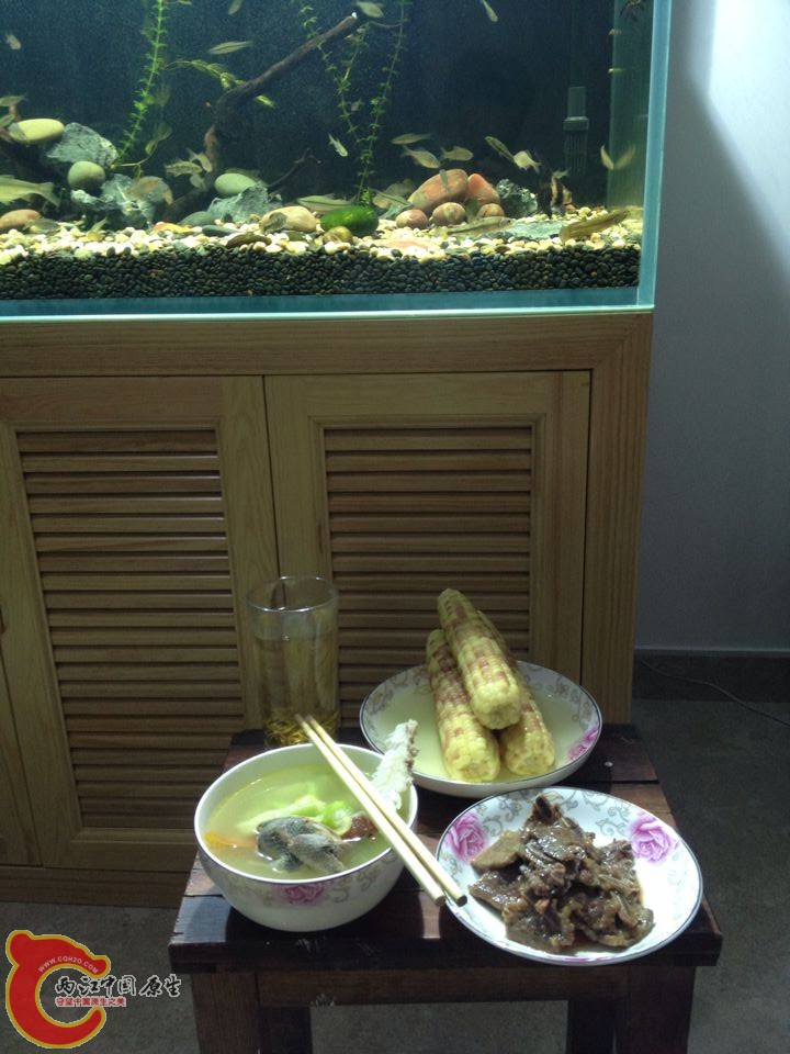 QQ图片20140804103719.jpg
