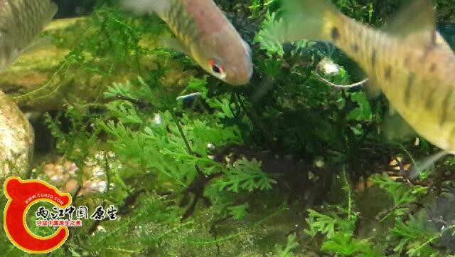 2014-08-06 09.57.38.png