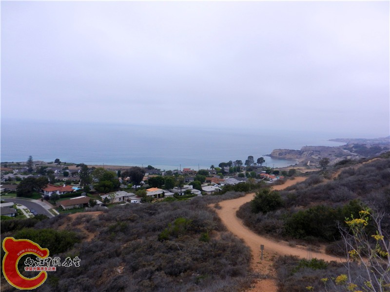 DSCN8750.jpg