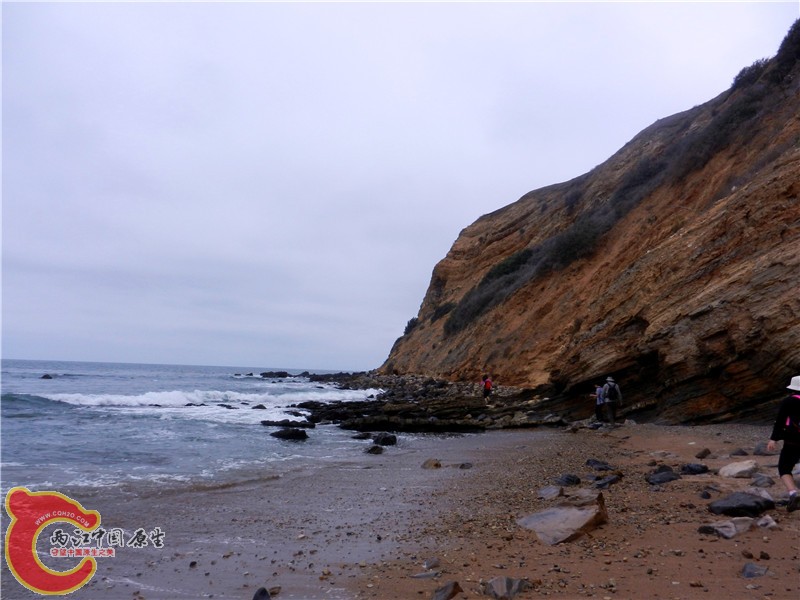 DSCN8764.jpg