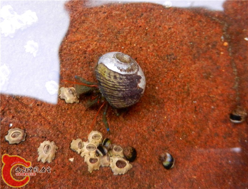 DSCN8776.jpg