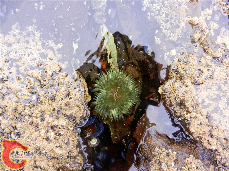 DSCN8784.jpg