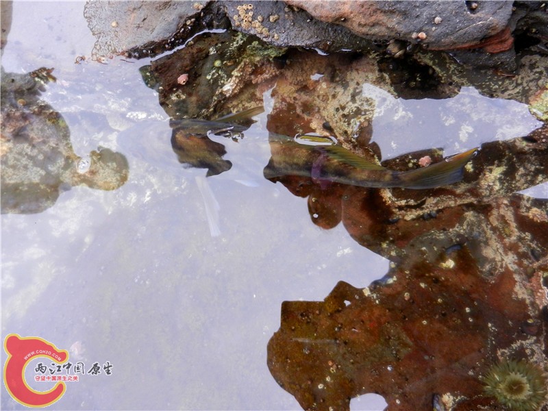DSCN8787.jpg