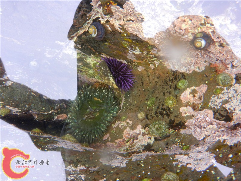 DSCN8789_副本.jpg