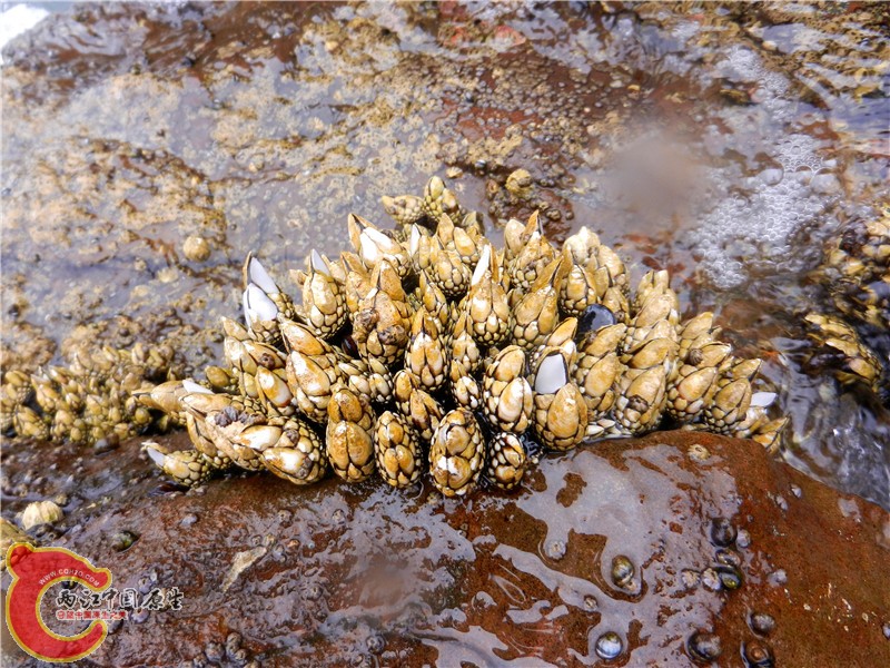 DSCN8794.jpg