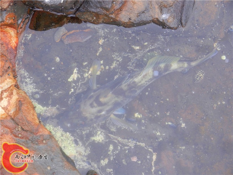 DSCN8798.jpg