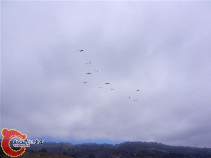 DSCN8802.jpg