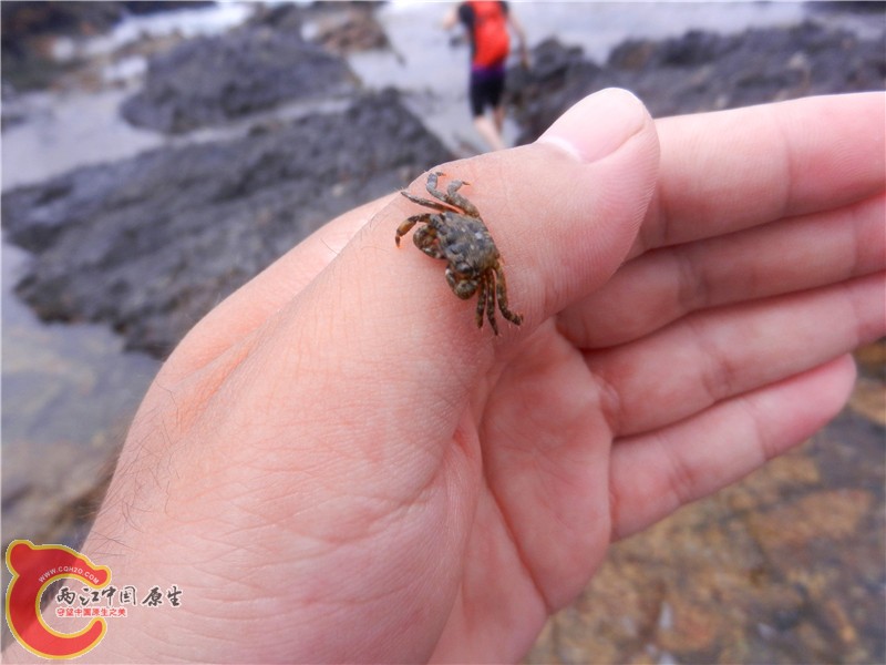 DSCN8820.jpg
