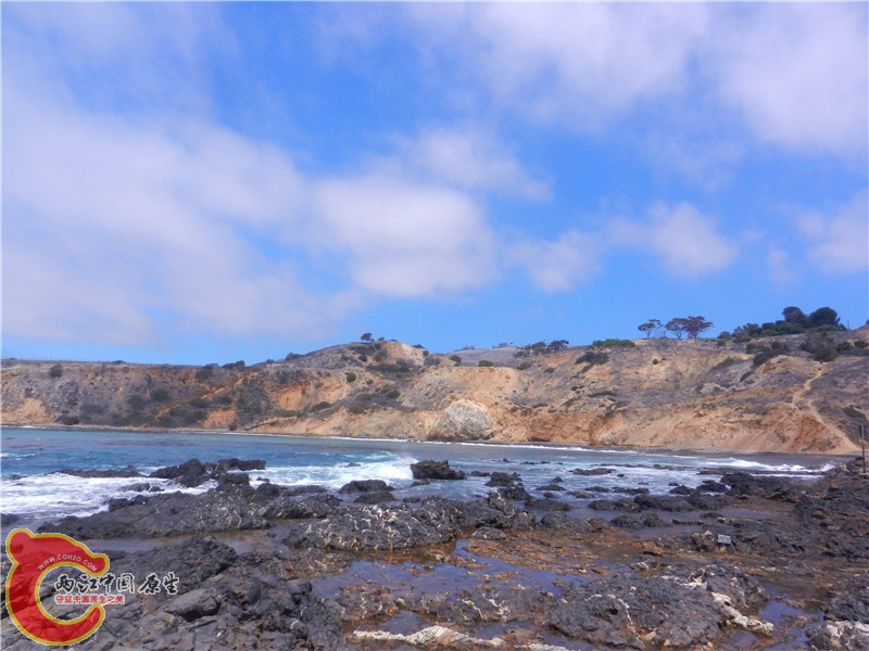 DSCN8849.jpg