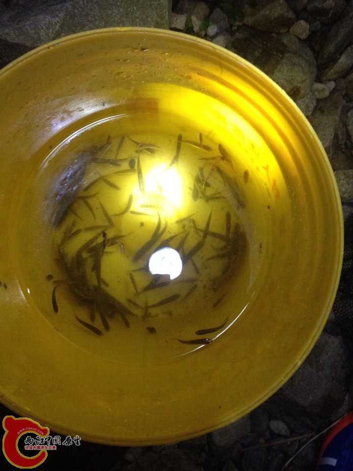 QQ图片20140807093045.jpg