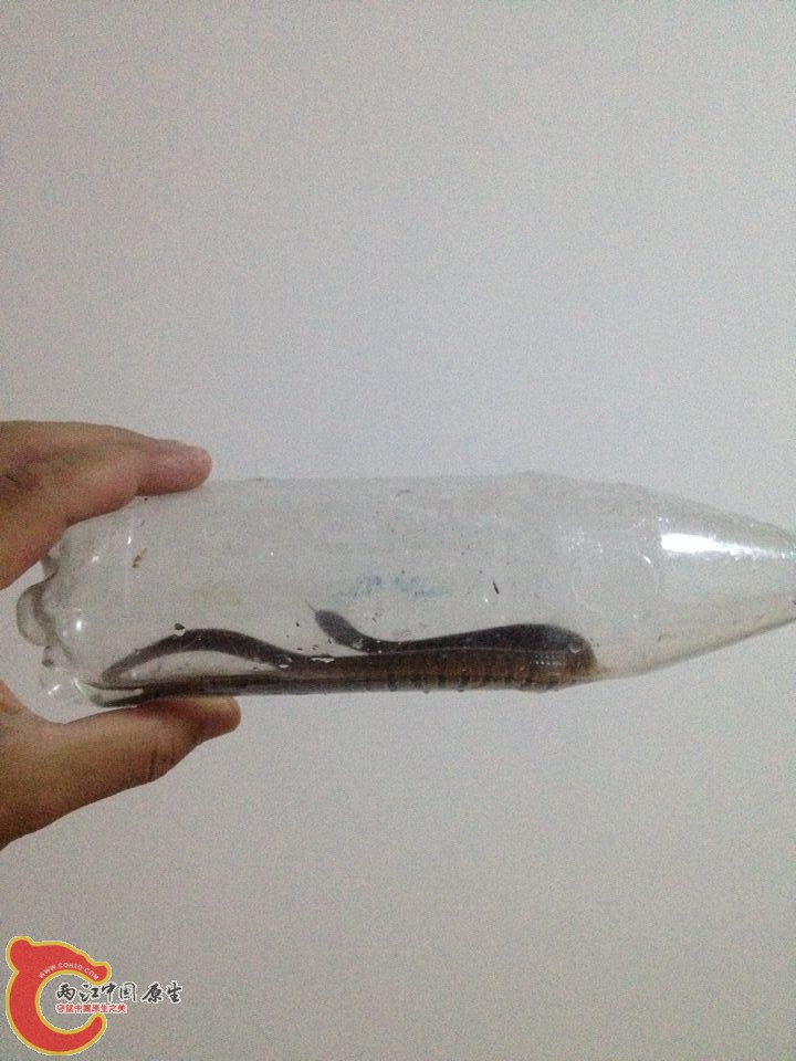 QQ图片20140807093058.jpg