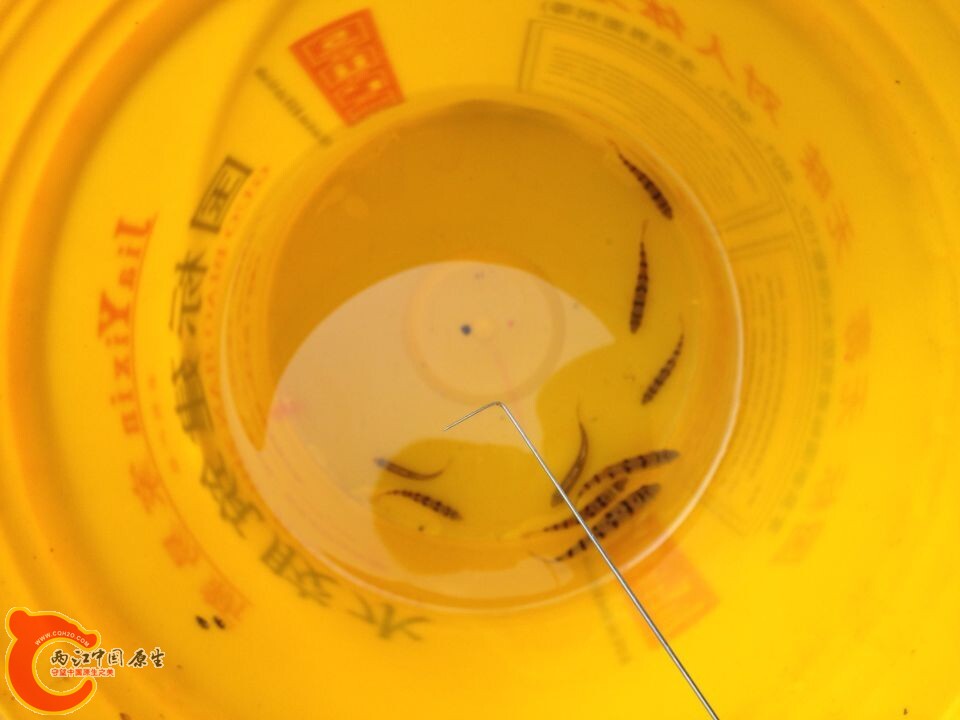 QQ图片20140807093105.jpg