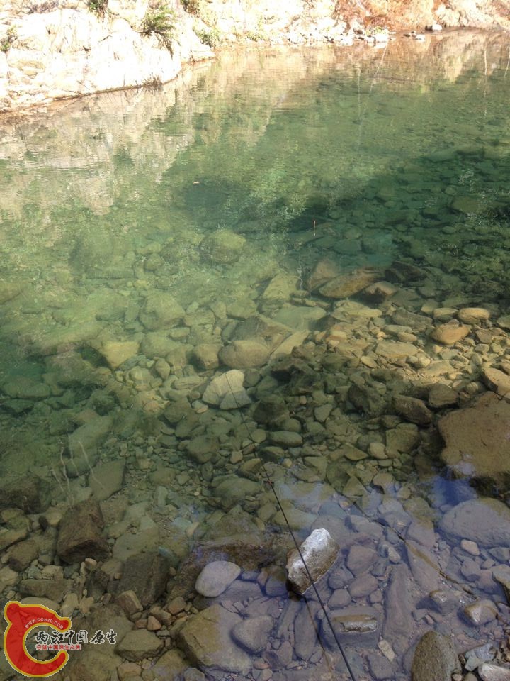 QQ图片20140807093117.jpg
