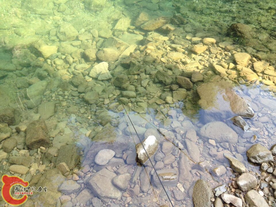 QQ图片20140807093134.jpg
