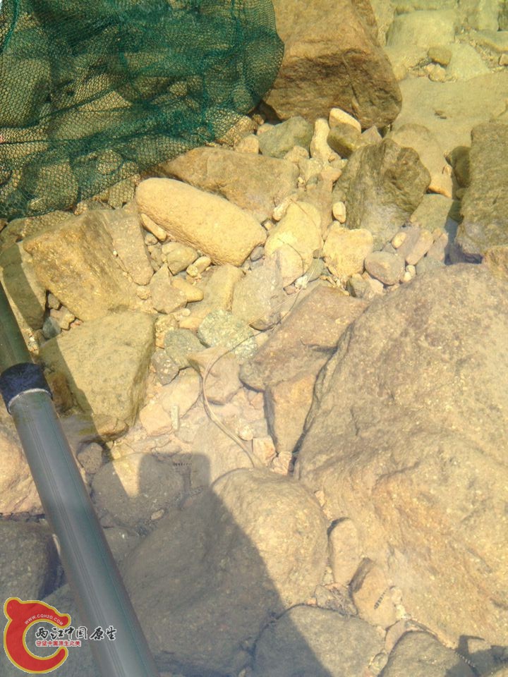QQ图片20140807093144.jpg