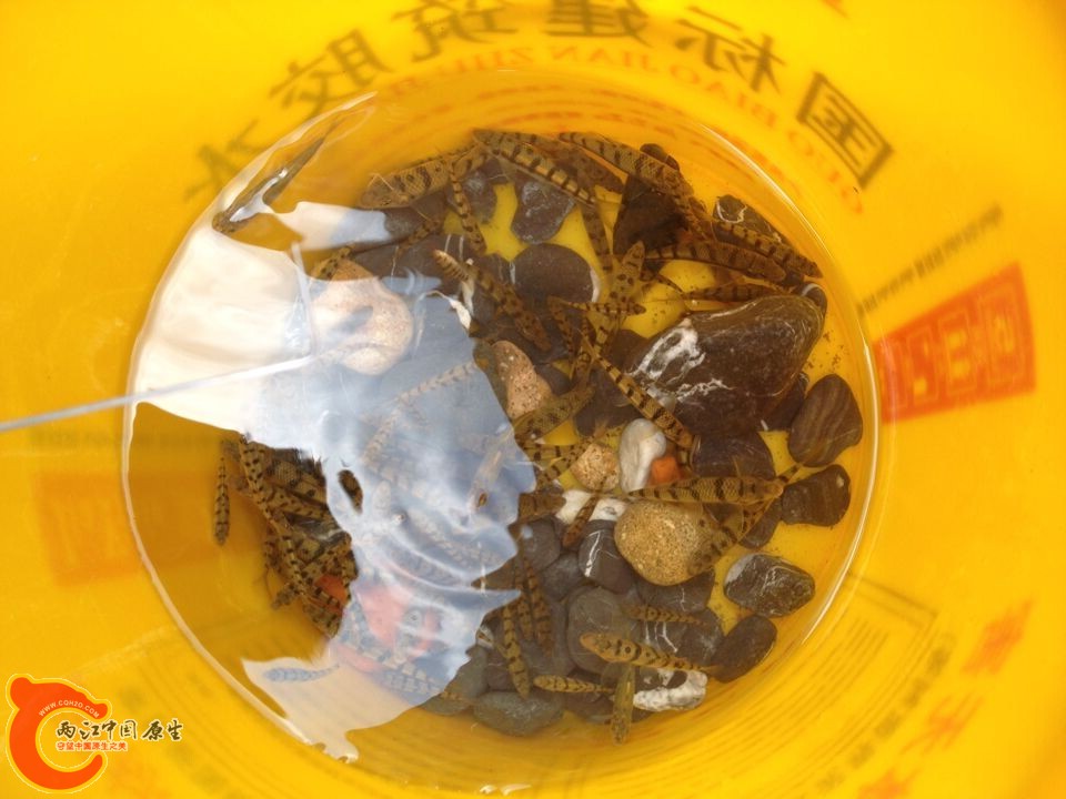 QQ图片20140807093148.jpg