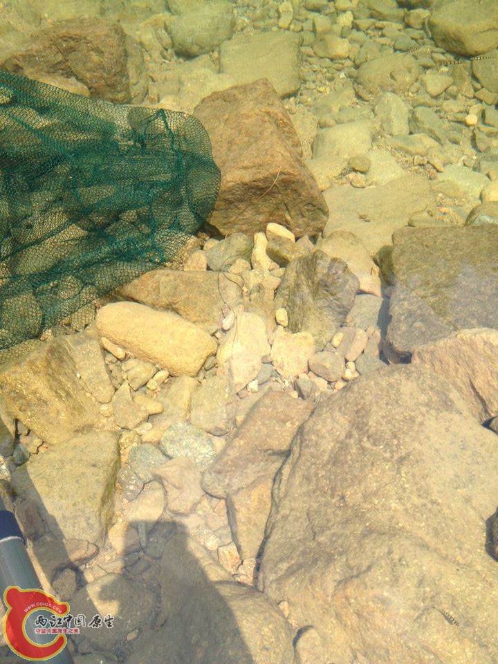 QQ图片20140807093151.jpg