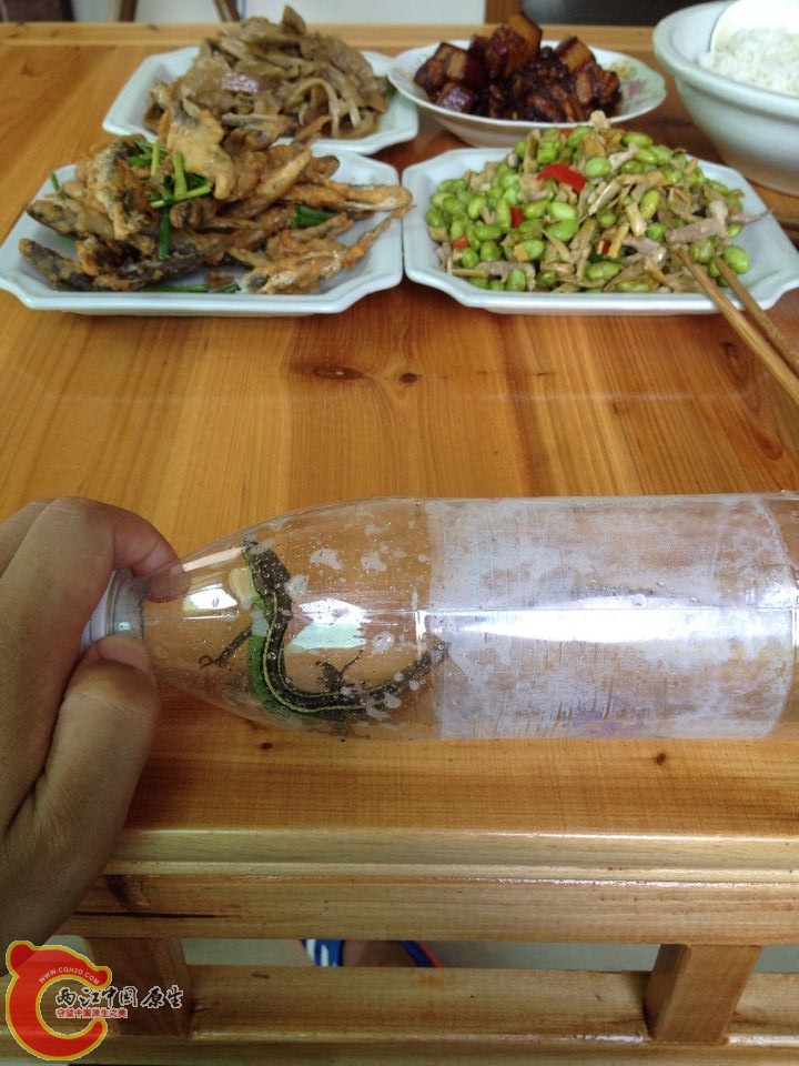 QQ图片20140807093202.jpg