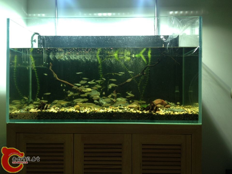 QQ图片20140807093311.jpg