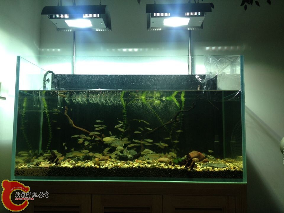 QQ图片20140807093318.jpg