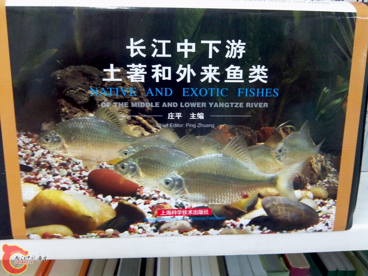IMG_20140810_170001_副本.jpg