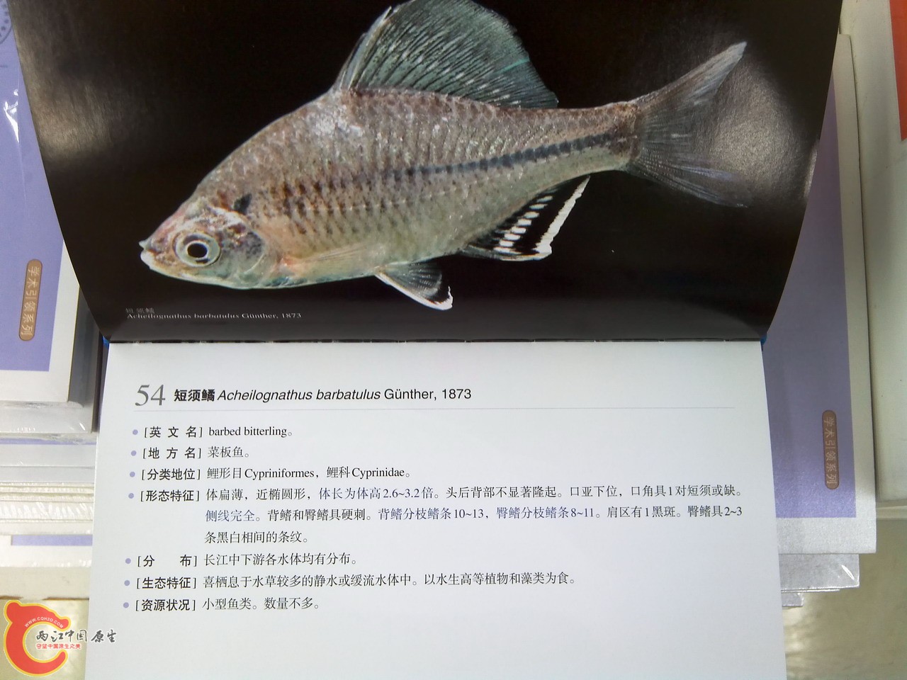 IMG_20140810_170636_副本.jpg