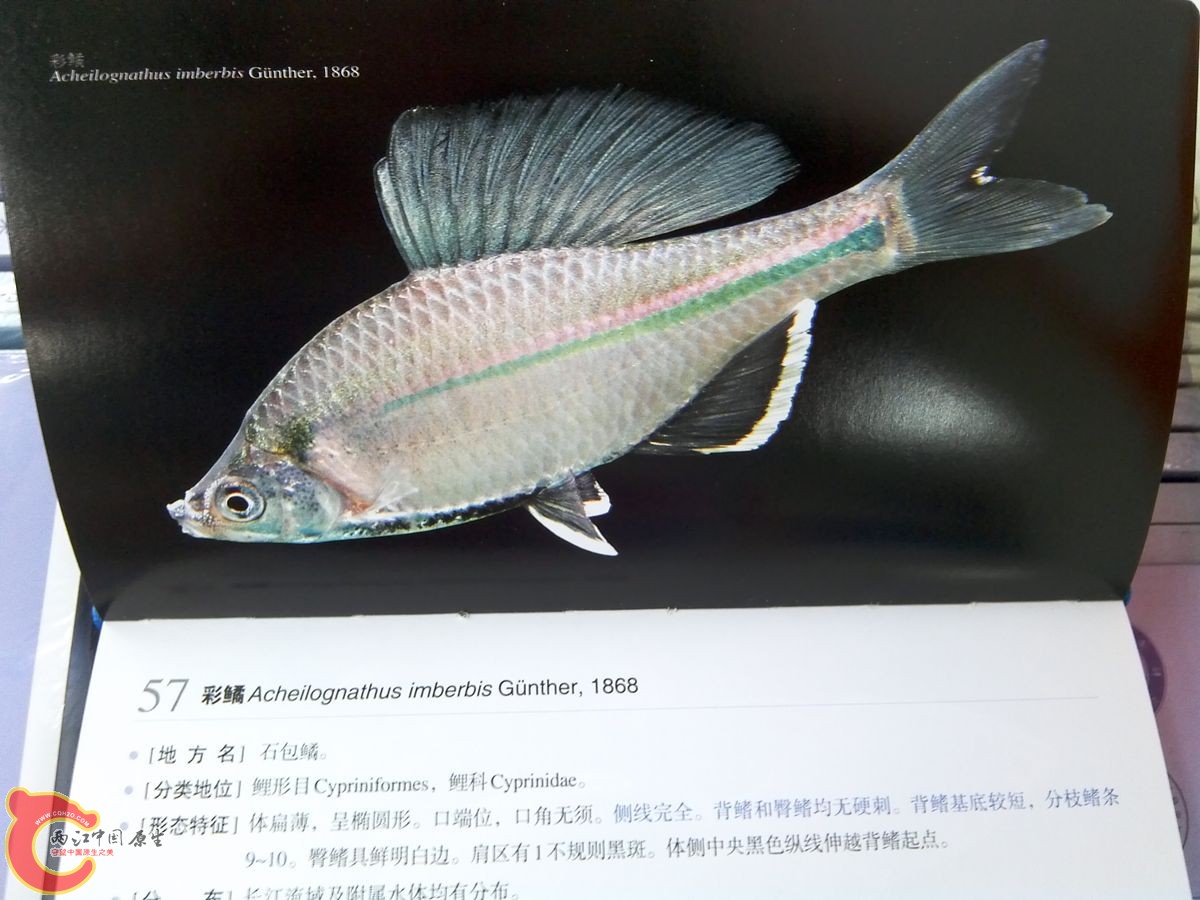 IMG_20140810_171033_副本.jpg