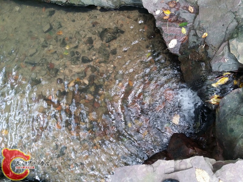 20140802_110750_调整大小.jpg
