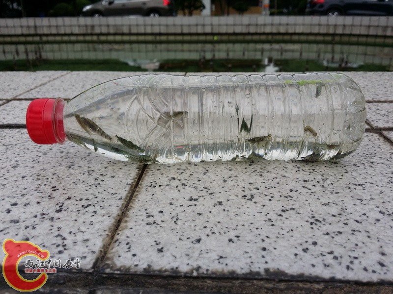 20140802_114514_调整大小.jpg