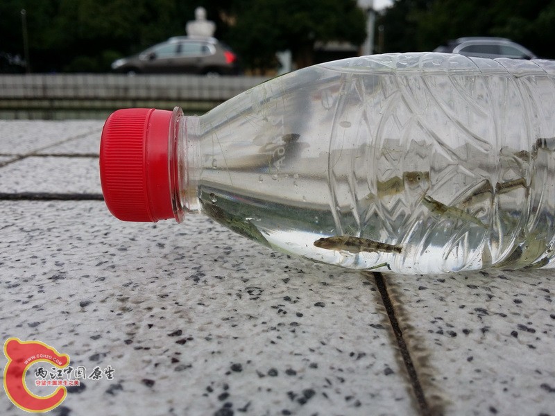 20140802_114520_调整大小.jpg