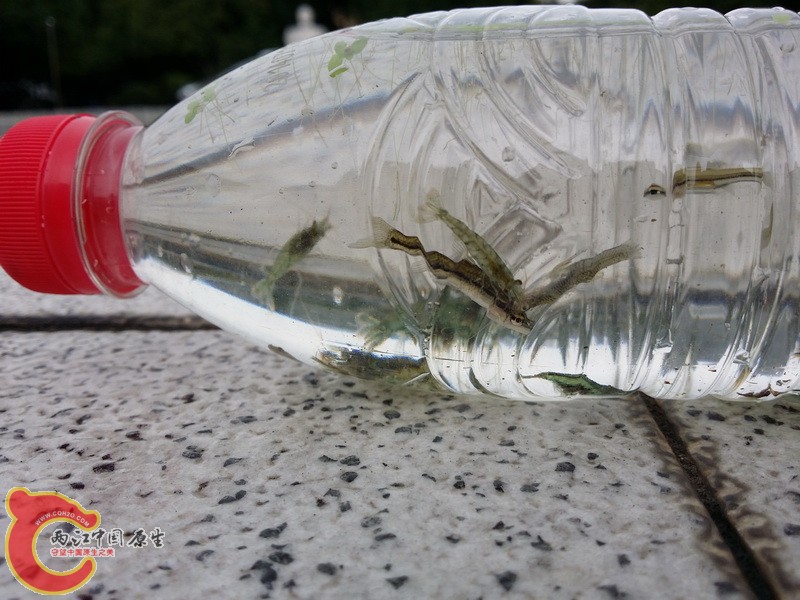 20140802_114558_调整大小.jpg