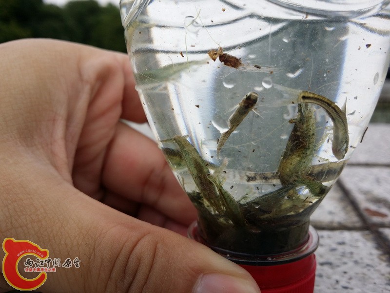 20140802_114624_调整大小.jpg