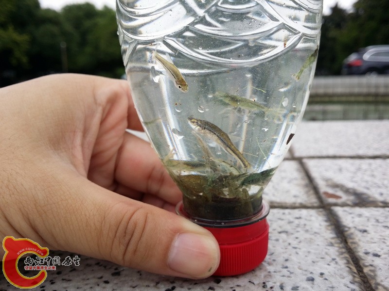 20140802_114635_调整大小.jpg