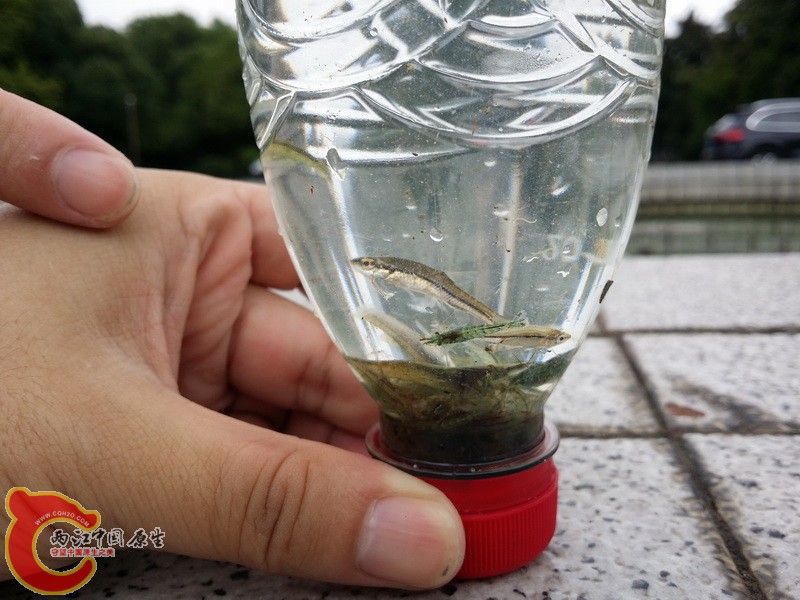 20140802_114637_调整大小.jpg