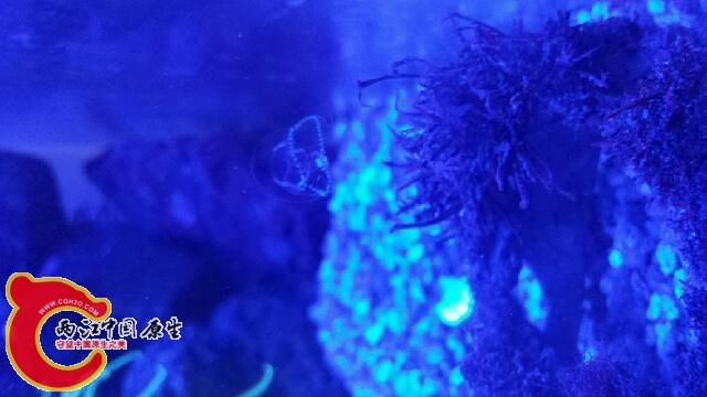 20140810_220911.jpg