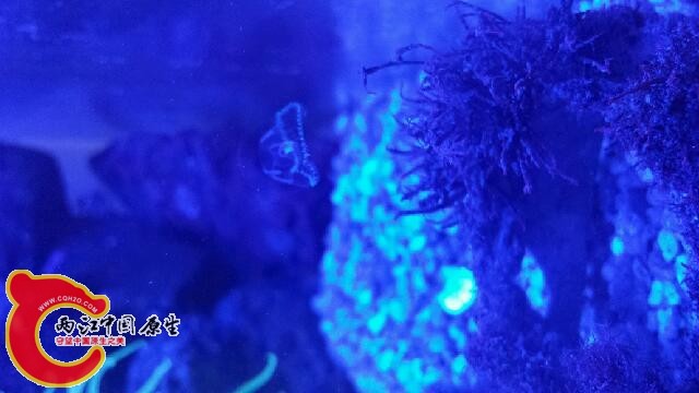 20140810_220909.jpg