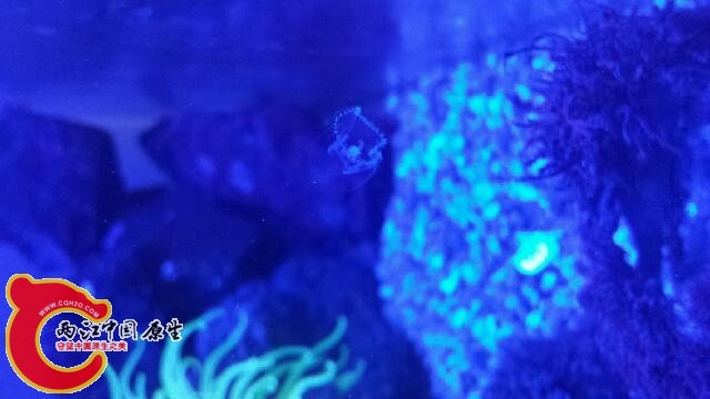 20140810_220818.jpg